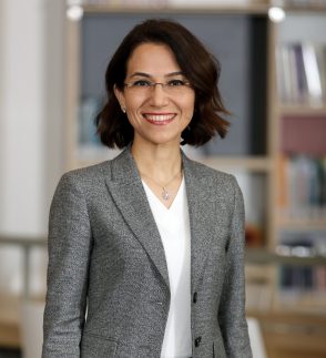 BURCU CIVELEK YUCE 26122019